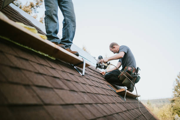 Roof Gutter Cleaning in El Cajon, CA